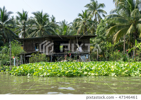 Damnoen Saduak houses Damnoen Saduak houses 47346461