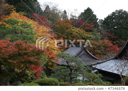 Buddha Mountain Baekjeji Buddha Mountain Baekjeji 47346876