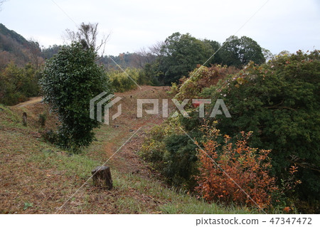 Shuzan Castle 47347472