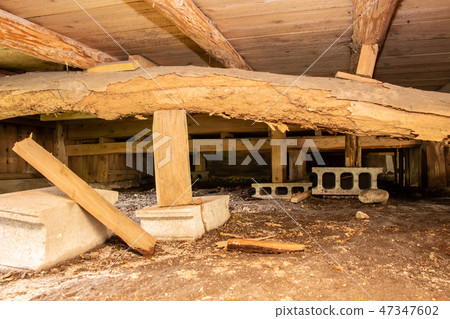 在老房子的地板下 47347602