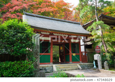 京都新星門和秋葉 47348029