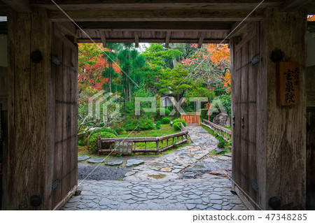 Autumn leaves of the Kyoto Horse-Episode 47348285