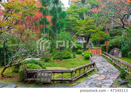 Autumn leaves of the Kyoto Horse-Episode Autumn leaves of the Kyoto Horse-Episode 47348313