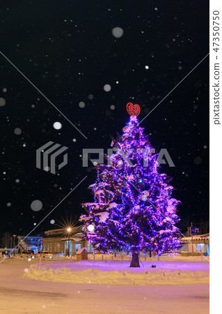Hokkaido _ Biei Station Christmas tree 47350750