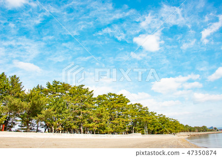 在鹿兒島縣愛拉市的重度沐浴海灘 在鹿兒島縣愛拉市的重度沐浴海灘 47350874