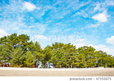 在鹿兒島縣愛拉市的重度沐浴海灘 47350875