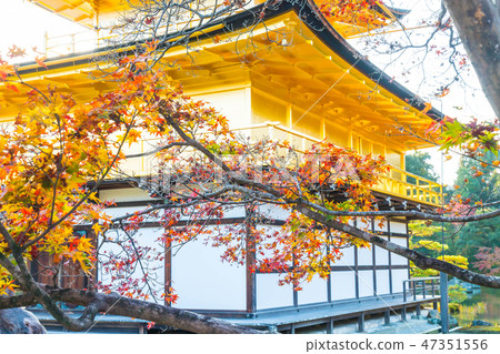 Kinkakuji Temple (The Golden Pavilion) 47351556