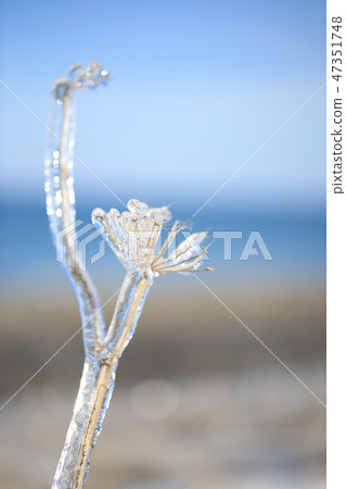 霧冰(雨冰)A 霧冰(雨冰)A 47351748