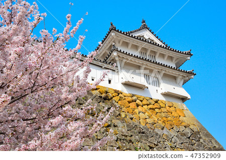 Sakuraba Himeji城堡Nishinomaru 47352909