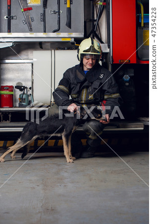 Picture of happy fireman in helmet with dog Picture of happy fireman in helmet with dog 47354228