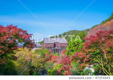 The stage under Kyoto Kiyomida repair and autumn leaves The stage under Kyoto Kiyomida repair and autumn leaves 47354845