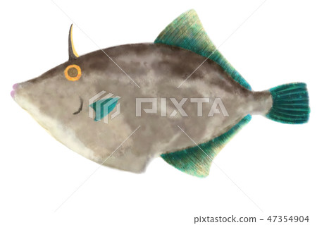 卡瓦哈希 47354904