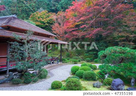 Autumn leaves of Kyoto Mangyin monument 47355198