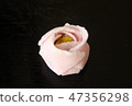 Hujirigamonchi peony 47356298