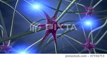 Transmitting synapse,neuron or nerve cell Transmitting synapse,neuron or nerve cell 47356753