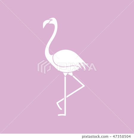 Exotic tropical bird flamingo Exotic tropical bird flamingo 47358504