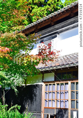 中野大廈美術館（新潟縣）的秋葉 47359314