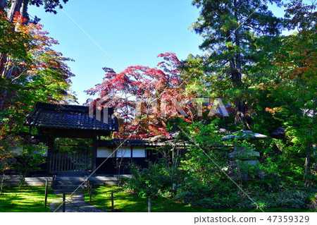 中野大廈美術館(新潟縣)的秋葉 中野大廈美術館(新潟縣)的秋葉 47359329