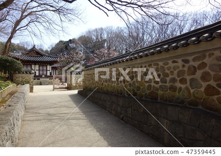Korea garden 47359445