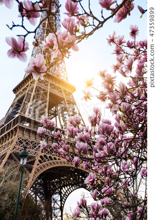 Eiffel Tower 47359899