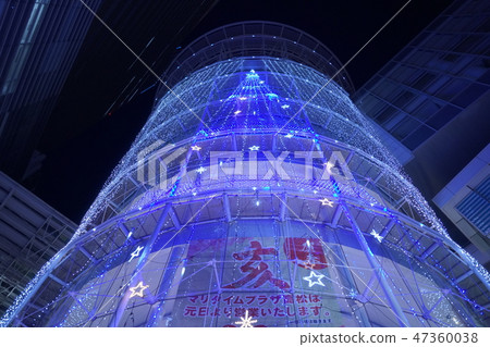 發光的樹 發光的樹 47360038