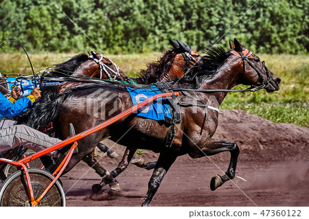 Horses run at high speed along the track Horses run at high speed along the track 47360122