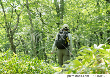 Tochigi ken Nikko Oku Nikko From Senjogahara to Odashirohara Haiku (August) 47360328