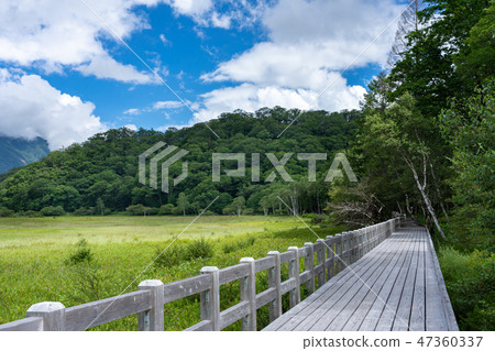 Nikko city Tochigi prefecture Okuhiko Odashihara (August) 47360337