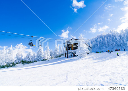 Landscape story (Winter in Shiga Kogen) Landscape story (Winter in Shiga Kogen) 47360583