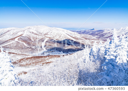Landscape story (Winter in Shiga Kogen) Landscape story (Winter in Shiga Kogen) 47360593