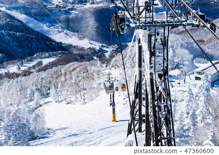 Landscape story (Winter in Shiga Kogen) Landscape story (Winter in Shiga Kogen) 47360600