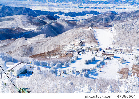 Landscape story (Winter in Shiga Kogen) Landscape story (Winter in Shiga Kogen) 47360604