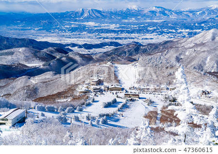 Landscape story (Winter in Shiga Kogen) Landscape story (Winter in Shiga Kogen) 47360615