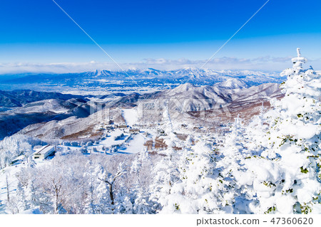 Landscape story (Winter in Shiga Kogen) Landscape story (Winter in Shiga Kogen) 47360620