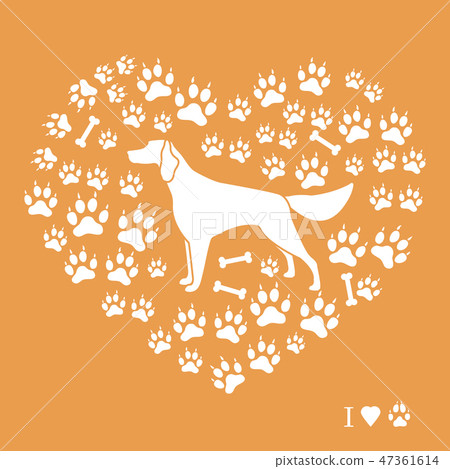 Setter silhouette on background of dog tracks and 47361614