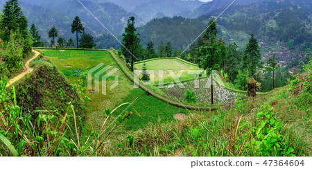 Agricultural spring landscape in the mountainous Agricultural spring landscape in the mountainous 47364604
