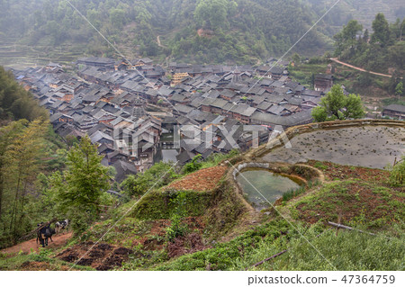Farming village in mountains of Dong Minority Farming village in mountains of Dong Minority 47364759