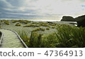 Beach New zealand 47364913
