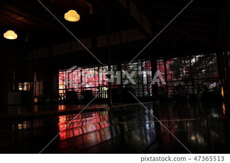 Mincho Choso的秋天 47365513