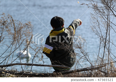 天鵝和孩子們 47365521