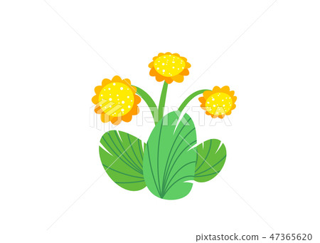 Simple bouquet vector with spring garden blooming flowers illustration. Fashion floral springtime 47365620