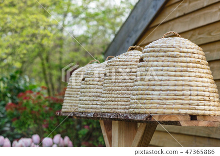 Beehives in a garden Beehives in a garden 47365886