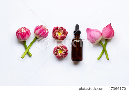 Lotus essential oil with lotus flowers on white. Lotus essential oil with lotus flowers on white. 47366170