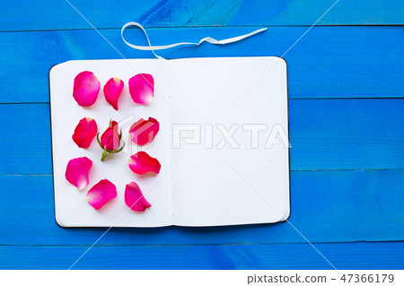 Diary notebook with rose on blue wooden Diary notebook with rose on blue wooden 47366179