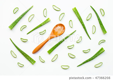 Aloe vera fresh leaves with slices and  gel 47366208