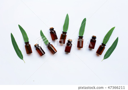 Eucalyptus oil bottles with eucalyptus leaves  47366211