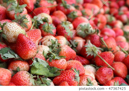 Fresh strawberry at street food Fresh strawberry at street food 47367425