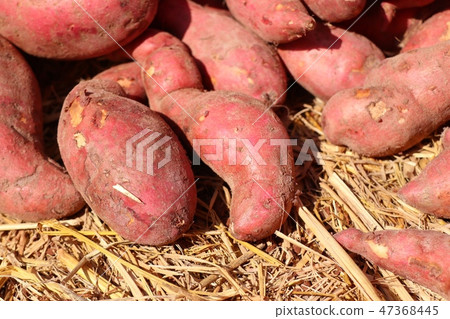 Sweet potato at street food Sweet potato at street food 47368445