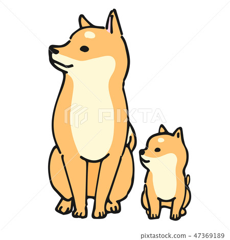 Shiba Inu dog parent-child pose facial expression 47369189