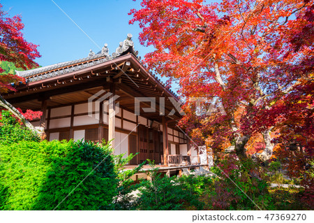 京都Jonkoji寺廟秋葉 京都Jonkoji寺廟秋葉 47369270